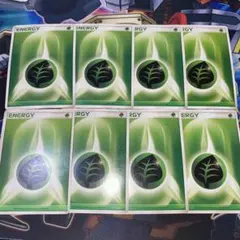 基本草エネルギー2006年産 8枚セット