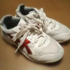 moonstar 室内シューズ 23.5cm