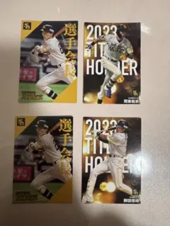 2023年 タイトルホルダー 選手カード セット