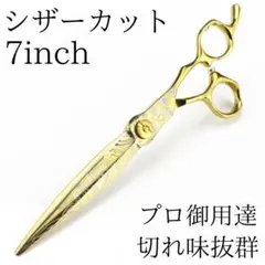 Item thumbnail for item 76be7996-5457-4f26-8431-df1b29098f7a