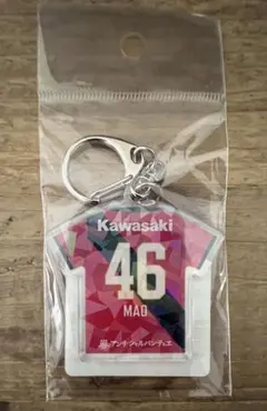 乃木坂46 五百城茉央 ヴィッセル神戸 キーホルダー
