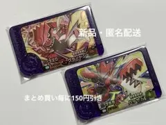 ポケモンフレンダ　ベストタッグ2弾　グラードン　ハッサム　スーパートレジャー