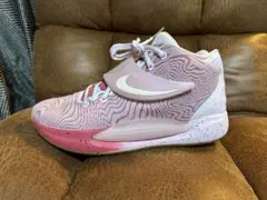 超レア美品Nike KD11 EP Aunt Pearlナイキバッシュ27.5 超レア美品Nike KD11 EP Aunt Pearlナイキバッシュ27.5 - メルカリ