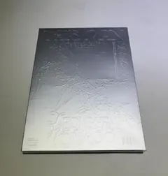 SEVENTEEN THIS MAN 開封済み CD ジョンハン ウォヌ