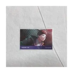 神家 ブレイクマイケース ブレマイ アニメイトフェア 特典