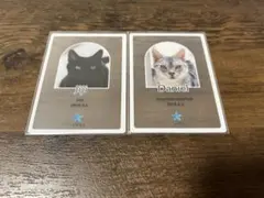 るぴ様のサムネイル