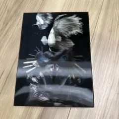 天野喜孝 インフィニティー METAL「FF8」 - メルカリ