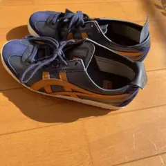 オニズカタイガ