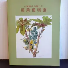2026年最新】小磯良平 植物画の人気アイテム - メルカリ