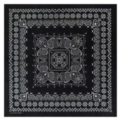 Item thumbnail for item 49554520-65fb-4305-8fe8-2a287bd5c1c3