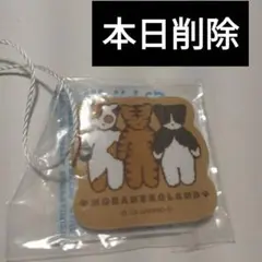 ノラネコランド 爪みがき　サンリオ　おまけのサムネイル