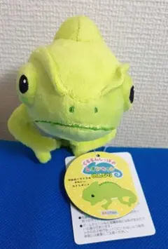 栞様 専用】セ・ミニョン 手乗り ぬいぐるみ ドラゴン 緑 恐竜
