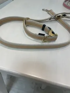 ハンドメイド作家さんの首輪とリードのセット