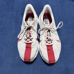 ナイキペガサスプラス 26cm