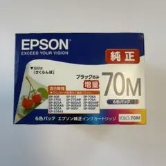 エプソン IC6CL70L インクカートリッジ 6色セット 純正10 さくらんぼ