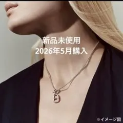 sarukon55様専用】エルメス シェーヌダンクル ペンダント ネックレス