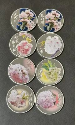 2026年最新】桜の通り抜けの人気アイテム - メルカリ
