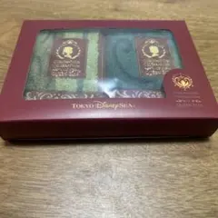 Disney SEAファンタジースプリングス　アナ雪　ミニタオル2枚セット