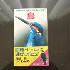 Item thumbnail for item 796da91e-ff6c-4a40-ba4f-91beeeae8d82