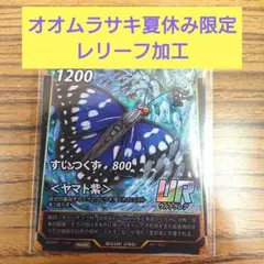 外国産蝶標本【極稀産地】アオメガネトリバネアゲハ♂★ラボンガイ島産★美麗貴重 外国産蝶標本【極稀産地】アオメガネトリバネアゲハ♂☆ラボンガイ島産