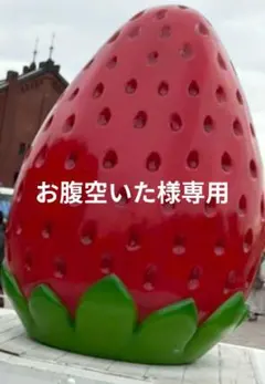 お腹空いた様専用 夏焼千弥 グッズまとめ売り