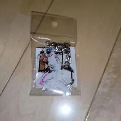 埼玉西武ライオンズちびらいおんず3連アクリルキーホルダー滝沢