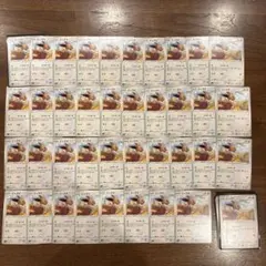 ポケモンカード イーブイ ノーマル 55枚 ブイサーチ レックウザ背景 おまけ付