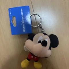 東京ディズニーリゾート ミッキーマウス キーホルダー
