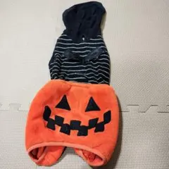 ハロウィン　犬服 かぼちゃ　ペットパラダイス　Sサイズ
