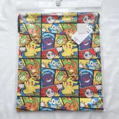 ポケモン　巾着L 大　体操着袋　お着替え袋　コミック風　ゲンガー　ピカチュウ
