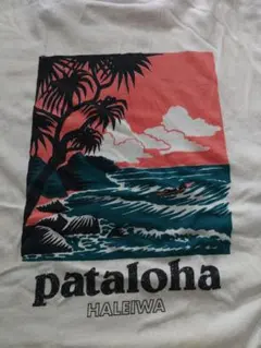 patagonia　pataloha haleiwa Tシャツ　Sのサムネイル