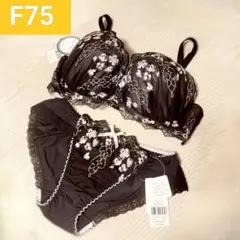 Item thumbnail for item de2bb9e8-5d0e-49b2-858f-1e56571e6751