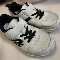 Item thumbnail for item 48a66e27-0b64-4985-9762-03868c2ca5ab