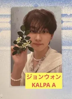 ジョンウォン KALPA A ORANGE BLOOD