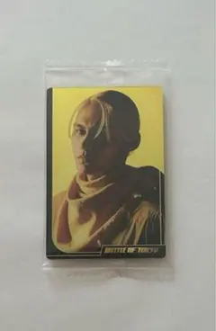 THE RAMPAGE 龍 BOT ウエハース