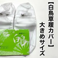 Item thumbnail for item 2b129599-0990-463d-a64f-e4e185cfddde