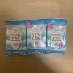 Item thumbnail for item ee2be3c3-b15d-43df-845e-c4858dd19da4