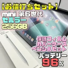 美品】BT100％ 第11世代 純正ペンシル＋ケース＋フィルムセット 222