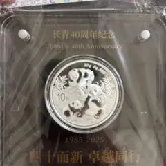 希少　美品　中国パンダ銀貨1993年 1/2オンス 5元 希少 美品 中国パンダ銀貨1993年 1/2オンス 5元 - メルカリ