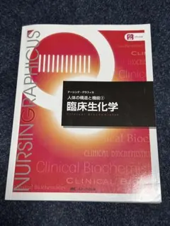 Item thumbnail for item 264339c6-26e9-40c5-bb0c-7edb181ba82b