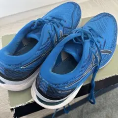 ASICS GEL-KAYANO 29 ブルー 28.５cm