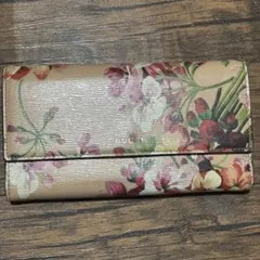 Item thumbnail for item 19259f0e-b8fd-4e1d-9106-f058e2dff108