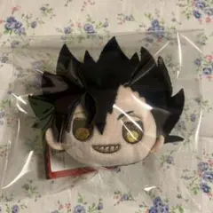 ハイキュー　ぴんぐるみ　黒尾鉄朗