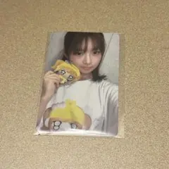 IVE ファンコン Tシャツ 封入 トレカ レイ