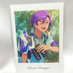 あんさんぶるスターズ！！ 乙狩アドニス ぱしゃっつ vol.6 Private