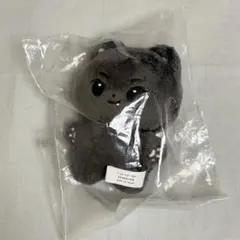 ENHYPEN ジェイ ぬいぐるみ　正規品　マスター　10cm ドール