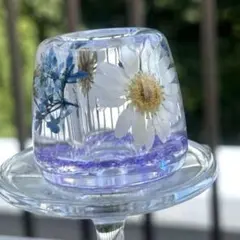 ハーバリウム インテリア
