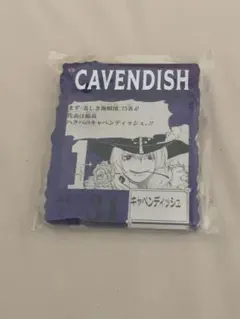 ONEPIECE BASESHOP アクリルブロックチャーム キャベンディッシュ