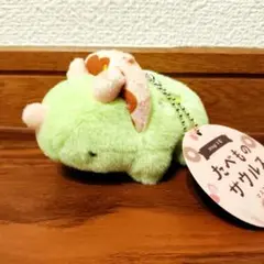otogi工房　たべものサウルスマスコット　トリケラトプス　ラウンドワン限定