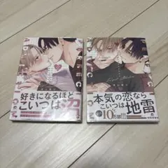 パーフェクトアディクション2冊セット